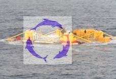 ../images/GBS Seatow_wm.jpg